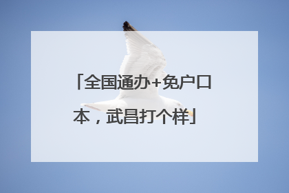 全国通办+免户口本，武昌打个样