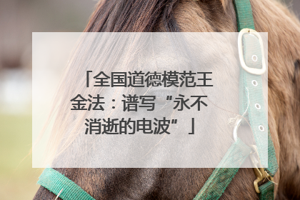 全国道德模范王金法：谱写“永不消逝的电波”