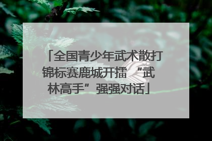 全国青少年武术散打锦标赛鹿城开擂 “武林高手”强强对话