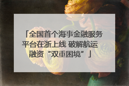 全国首个海事金融服务平台在浙上线 破解航运融资“双重困境”