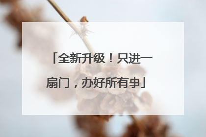全新升级！只进一扇门，办好所有事