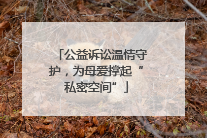 公益诉讼温情守护，为母爱撑起“私密空间”