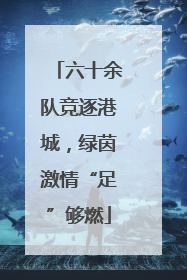 六十余队竞逐港城，绿茵激情“足”够燃