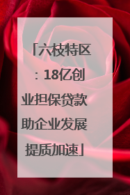 六枝特区：18亿创业担保贷款助企业发展提质加速