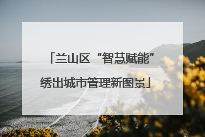 兰山区“智慧赋能”绣出城市管理新图景