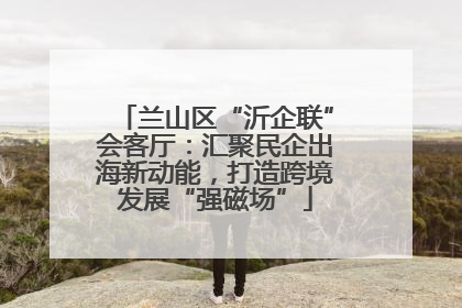 兰山区“沂企联”会客厅：汇聚民企出海新动能，打造跨境发展“强磁场”