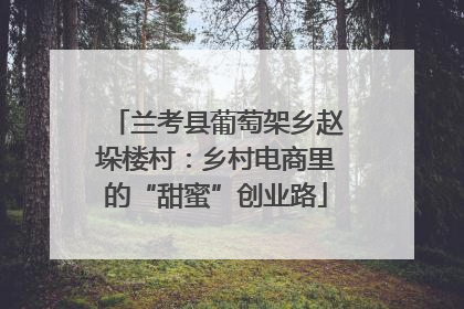 兰考县葡萄架乡赵垛楼村：乡村电商里的“甜蜜”创业路
