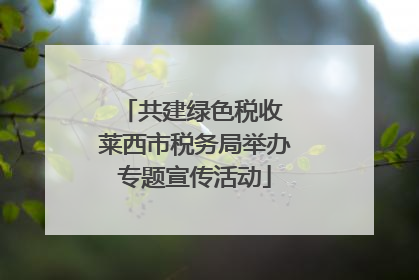 共建绿色税收 莱西市税务局举办专题宣传活动