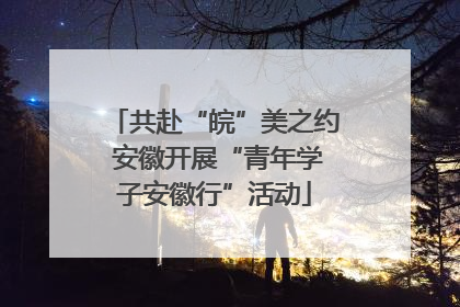 共赴“皖”美之约 安徽开展“青年学子安徽行”活动