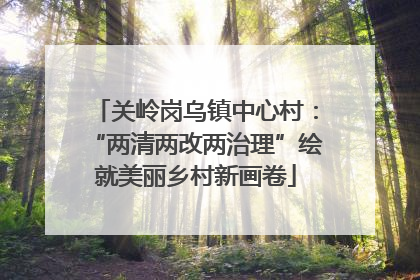 关岭岗乌镇中心村：“两清两改两治理”绘就美丽乡村新画卷