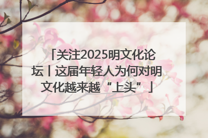关注2025明文化论坛丨这届年轻人为何对明文化越来越“上头”