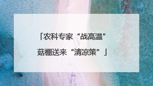 农科专家“战高温” 菇棚送来“清凉策”