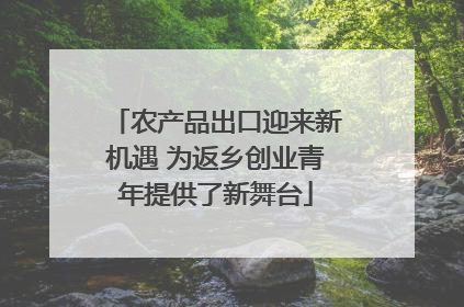 农产品出口迎来新机遇 为返乡创业青年提供了新舞台