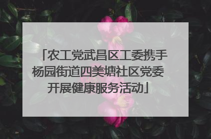 农工党武昌区工委携手杨园街道四美塘社区党委开展健康服务活动