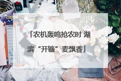 农机轰鸣抢农时 湖滨“开镰”麦飘香