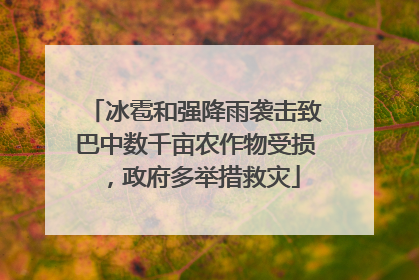 冰雹和强降雨袭击致巴中数千亩农作物受损，政府多举措救灾