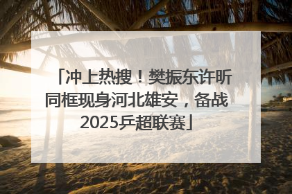 冲上热搜！樊振东许昕同框现身河北雄安，备战2025乒超联赛