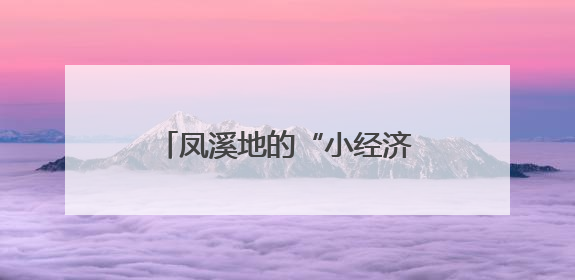 凤溪地的“小经济”与“大情怀”