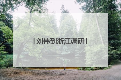 刘伟到浙江调研