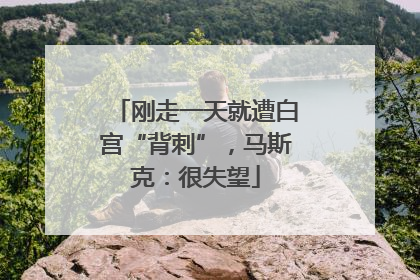 刚走一天就遭白宫“背刺”，马斯克：很失望