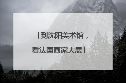 到沈阳美术馆，看法国画家大展