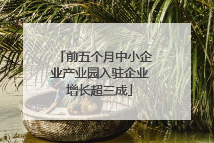 前五个月中小企业产业园入驻企业增长超三成