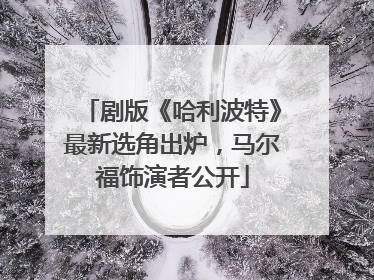 剧版《哈利波特》最新选角出炉，马尔福饰演者公开