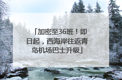 加密至36班！即日起，西海岸往返青岛机场巴士升级
