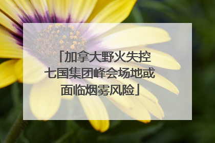 加拿大野火失控 七国集团峰会场地或面临烟雾风险