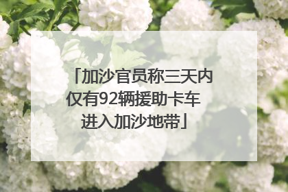 加沙官员称三天内仅有92辆援助卡车进入加沙地带