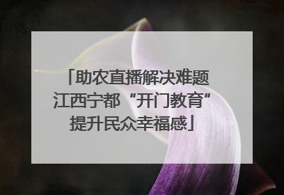 助农直播解决难题 江西宁都“开门教育”提升民众幸福感