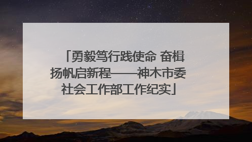 勇毅笃行践使命 奋楫扬帆启新程——神木市委社会工作部工作纪实