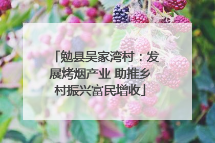 勉县吴家湾村：发展烤烟产业 助推乡村振兴富民增收