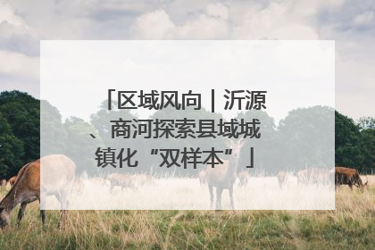 区域风向｜沂源、商河探索县域城镇化“双样本”