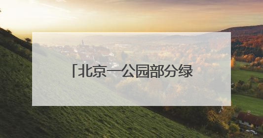 北京一公园部分绿地被淹，回应：地下水位上涨所致