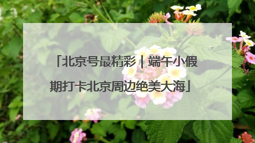 北京号最精彩|端午小假期打卡北京周边绝美大海