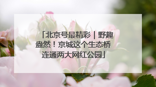 北京号最精彩｜野趣盎然！京城这个生态桥连通两大网红公园