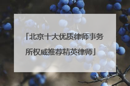 北京十大优质律师事务所权威推荐精英律师
