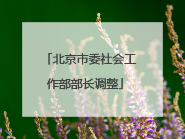 北京市委社会工作部部长调整
