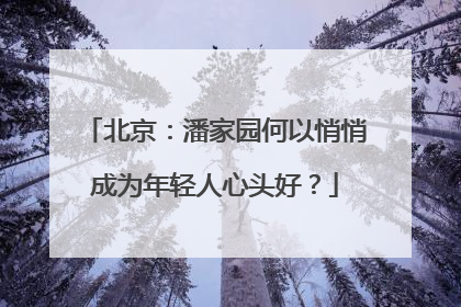 北京：潘家园何以悄悄成为年轻人心头好？