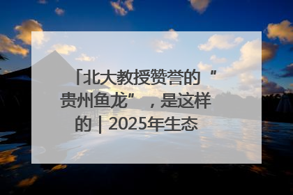北大教授赞誉的“贵州鱼龙”，是这样的｜2025年生态文明贵阳国际论坛