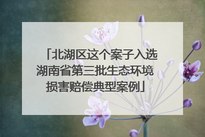 北湖区这个案子入选湖南省第三批生态环境损害赔偿典型案例
