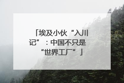 埃及小伙“入川记”：中国不只是“世界工厂”