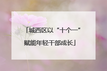 城西区以“十个一”赋能年轻干部成长