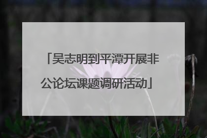 吴志明到平潭开展非公论坛课题调研活动
