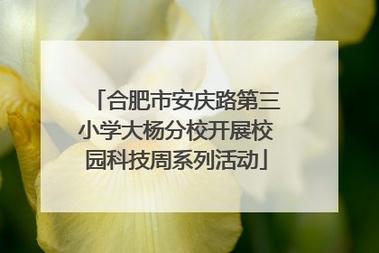 合肥市安庆路第三小学大杨分校开展校园科技周系列活动