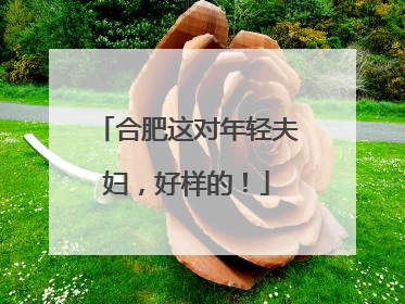 合肥这对年轻夫妇，好样的！