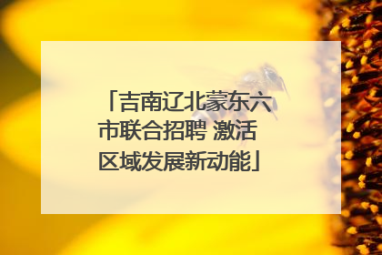 吉南辽北蒙东六市联合招聘 激活区域发展新动能