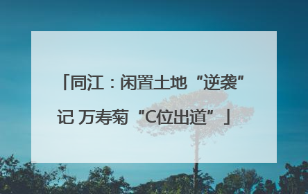 同江：闲置土地“逆袭”记 万寿菊“C位出道”