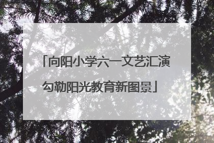 向阳小学六一文艺汇演勾勒阳光教育新图景